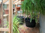 greenhouse2